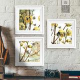 Square Dance of the Bees Wall Art