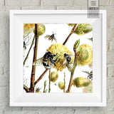 Square Dance of the Bees Wall Art